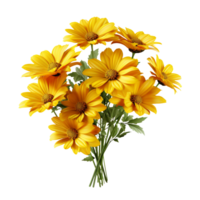 bunch of yellow flowers isolated on transparent background png