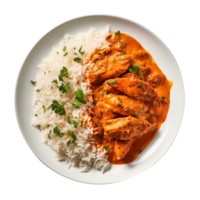 Butter chicken with basmati rice on a plate top view isolated on transparent background png