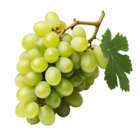 manojo de verde uvas aislado en transparente antecedentes png