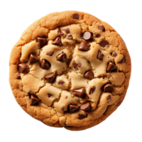 chocolate chip Galleta aislado en transparente antecedentes png