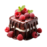 Chocolat gâteau avec framboises isolé sur transparent Contexte png