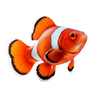 clown fisk isolerat på transparent bakgrund png