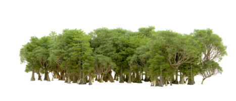 Green forest isolated on background. 3d rendering - illustration png
