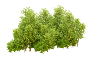 Grün Wald isoliert auf Hintergrund. 3d Rendern - - Illustration png