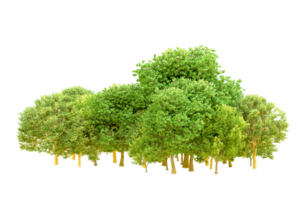 Green forest isolated on background. 3d rendering - illustration png