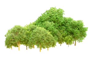 Green forest isolated on background. 3d rendering - illustration png