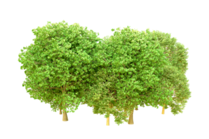 vert forêt isolé sur Contexte. 3d le rendu - illustration png