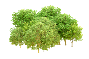 Green forest isolated on background. 3d rendering - illustration png