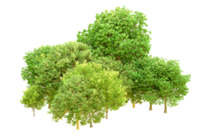 vert forêt isolé sur Contexte. 3d le rendu - illustration png