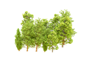 vert forêt isolé sur Contexte. 3d le rendu - illustration png