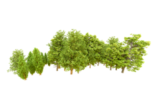Green forest isolated on background. 3d rendering - illustration png