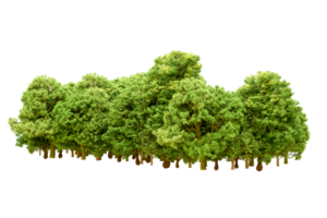 Green forest isolated on background. 3d rendering - illustration png