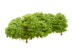 Green forest isolated on background. 3d rendering - illustration png