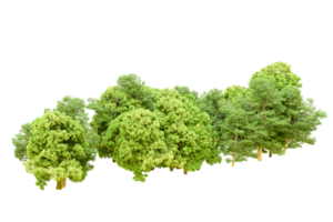 Green forest isolated on background. 3d rendering - illustration png