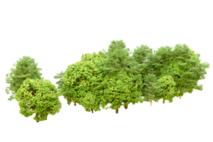 Green forest isolated on background. 3d rendering - illustration png