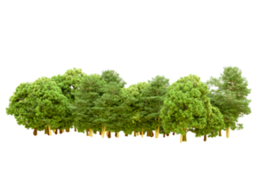 Green forest isolated on background. 3d rendering - illustration png