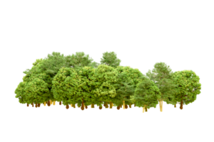 Green forest isolated on background. 3d rendering - illustration png