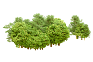 Green forest isolated on background. 3d rendering - illustration png