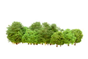 Green forest isolated on background. 3d rendering - illustration png