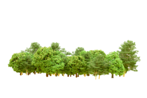 Green forest isolated on background. 3d rendering - illustration png