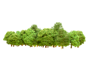 Green forest isolated on background. 3d rendering - illustration png