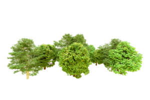Green forest isolated on background. 3d rendering - illustration png