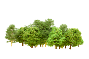 Green forest isolated on background. 3d rendering - illustration png