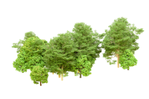 Green forest isolated on background. 3d rendering - illustration png