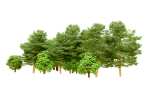 Green forest isolated on background. 3d rendering - illustration png