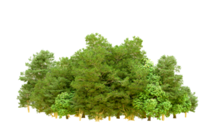 Green forest isolated on background. 3d rendering - illustration png