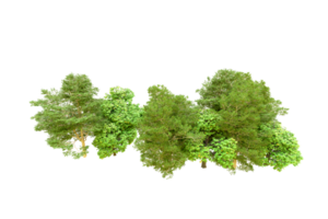 Green forest isolated on background. 3d rendering - illustration png