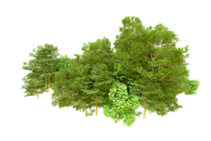 Green forest isolated on background. 3d rendering - illustration png