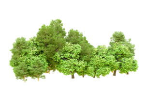 Green forest isolated on background. 3d rendering - illustration png