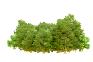 Green forest isolated on background. 3d rendering - illustration png