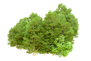 Green forest isolated on background. 3d rendering - illustration png