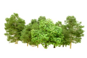 Green forest isolated on background. 3d rendering - illustration png