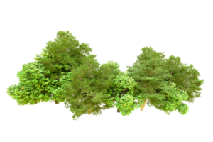 Green forest isolated on background. 3d rendering - illustration png