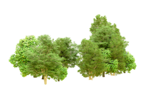 Green forest isolated on background. 3d rendering - illustration png