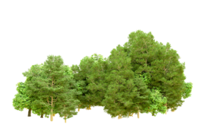 Green forest isolated on background. 3d rendering - illustration png