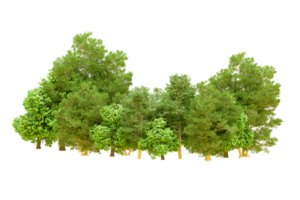 Green forest isolated on background. 3d rendering - illustration png