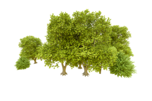 Green forest isolated on background. 3d rendering - illustration png