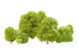 Green forest isolated on background. 3d rendering - illustration png