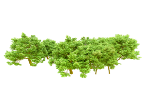 Green forest isolated on background. 3d rendering - illustration png