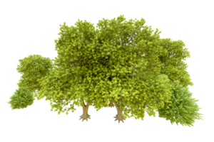 vert forêt isolé sur Contexte. 3d le rendu - illustration png