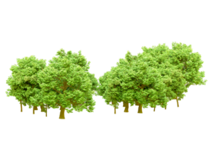 Green forest isolated on background. 3d rendering - illustration png