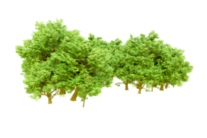 verde floresta isolado em fundo. 3d Renderização - ilustração png