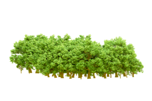 Green forest isolated on background. 3d rendering - illustration png