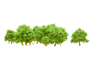 Green forest isolated on background. 3d rendering - illustration png