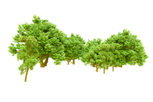 Green forest isolated on background. 3d rendering - illustration png