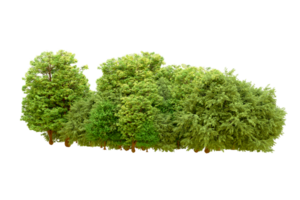 Green forest isolated on background. 3d rendering - illustration png